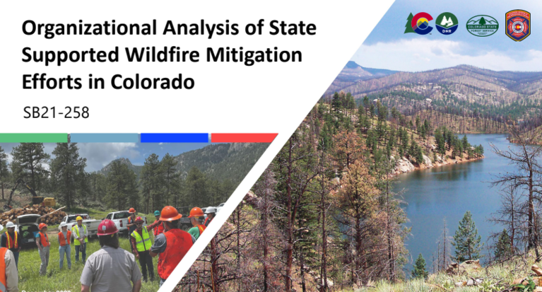 Title page to Organizational Analysis of State Supported Wildfire Mitigation Efforts