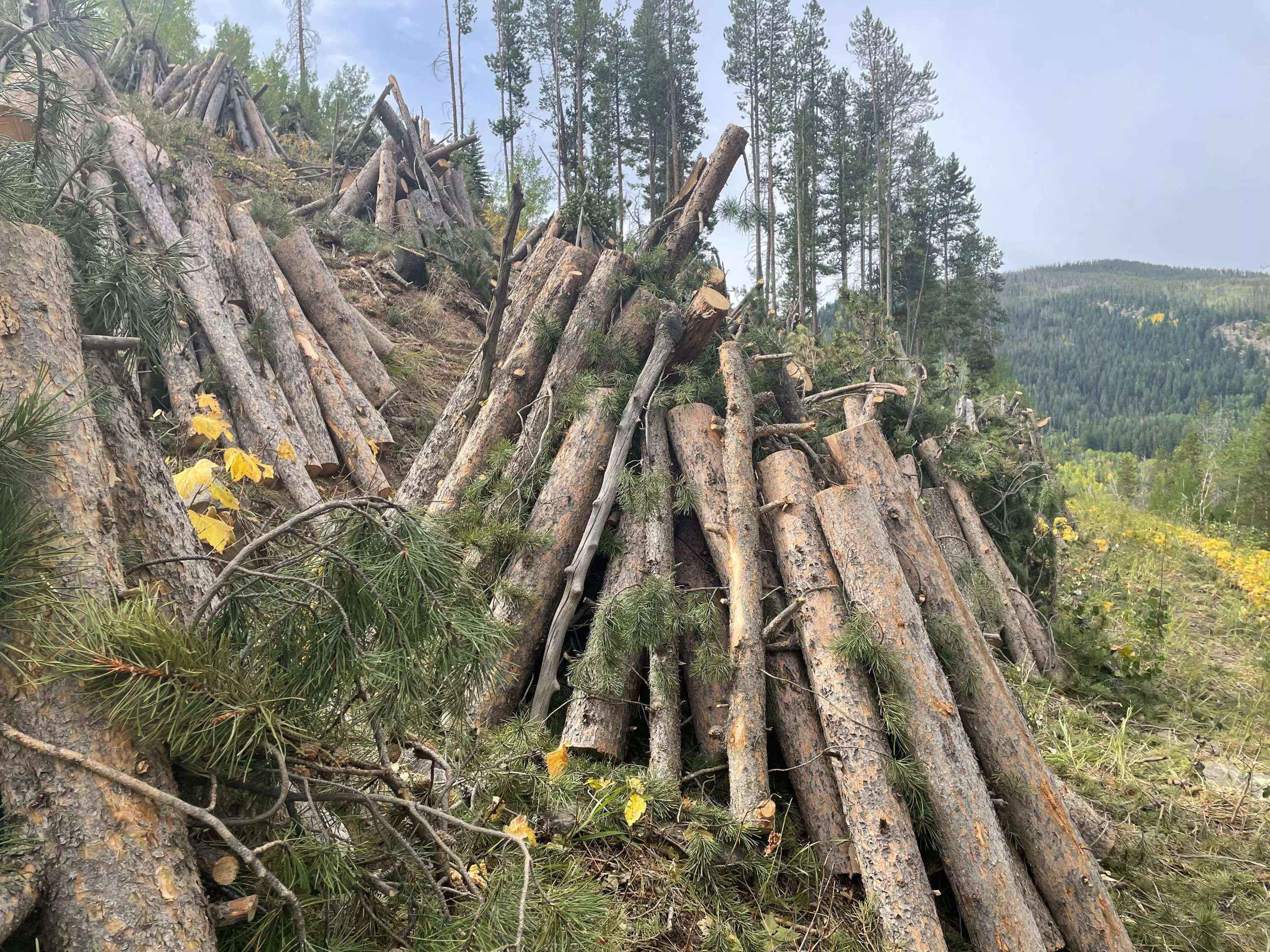 Burn piles on a hillside outside of Vail 