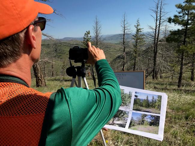 Image of Colorado State Forest Service surveying downed and unhealthy forests