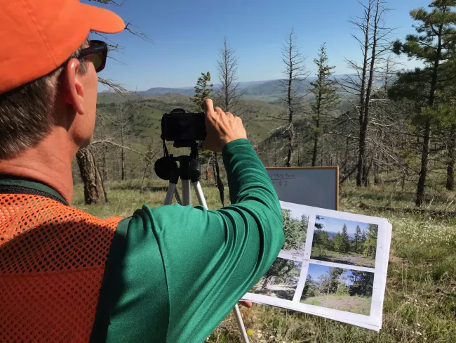 Forest Health Council
