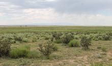 Chico Basin Ranch - green sagebrush plains with mountains in distance.