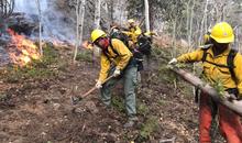 Cameron Peak Wildland Firefighting Crews