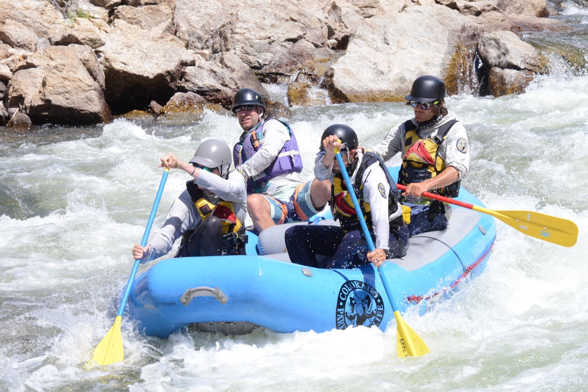 Rafters with paddles maneuvering down Arkansas River in Colorado