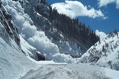 The Arc of CO and the Avalanche Colorado Avalanche I/DD Awareness