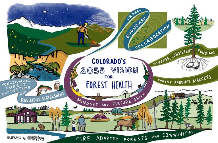 Colorado's 2055 Vision for Forest Health. Includes watercolor-style illustrations of various wildlife and nature scenes.