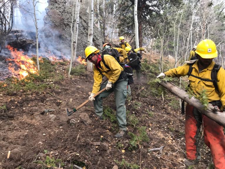 Cameron Peak Wildland Firefighting Crews