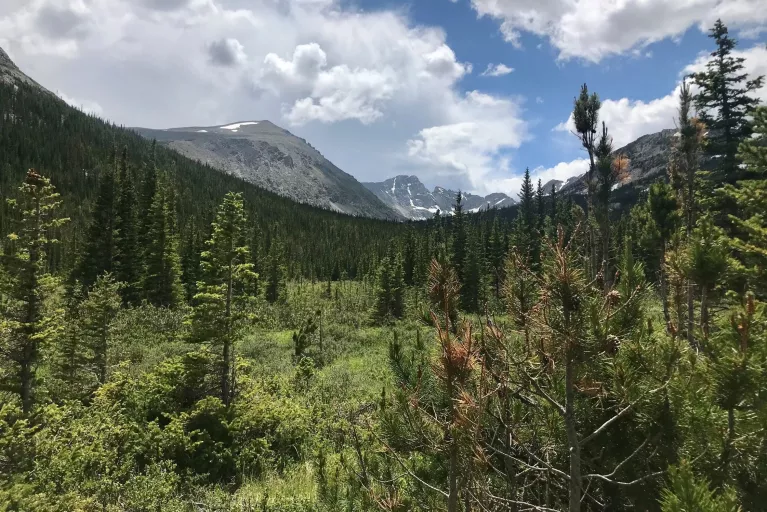 Arapaho National Forest 