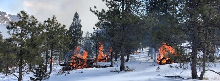 Pile burning at Golden Gate Canyon State Park